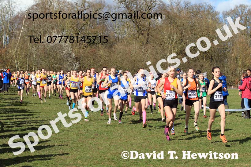 Girls Under-15s 2022 CAU Inter Counties Cross Country, Prestwold Hall, Loughborough.  Photo: David T. Hewitson/Sports for All Pics